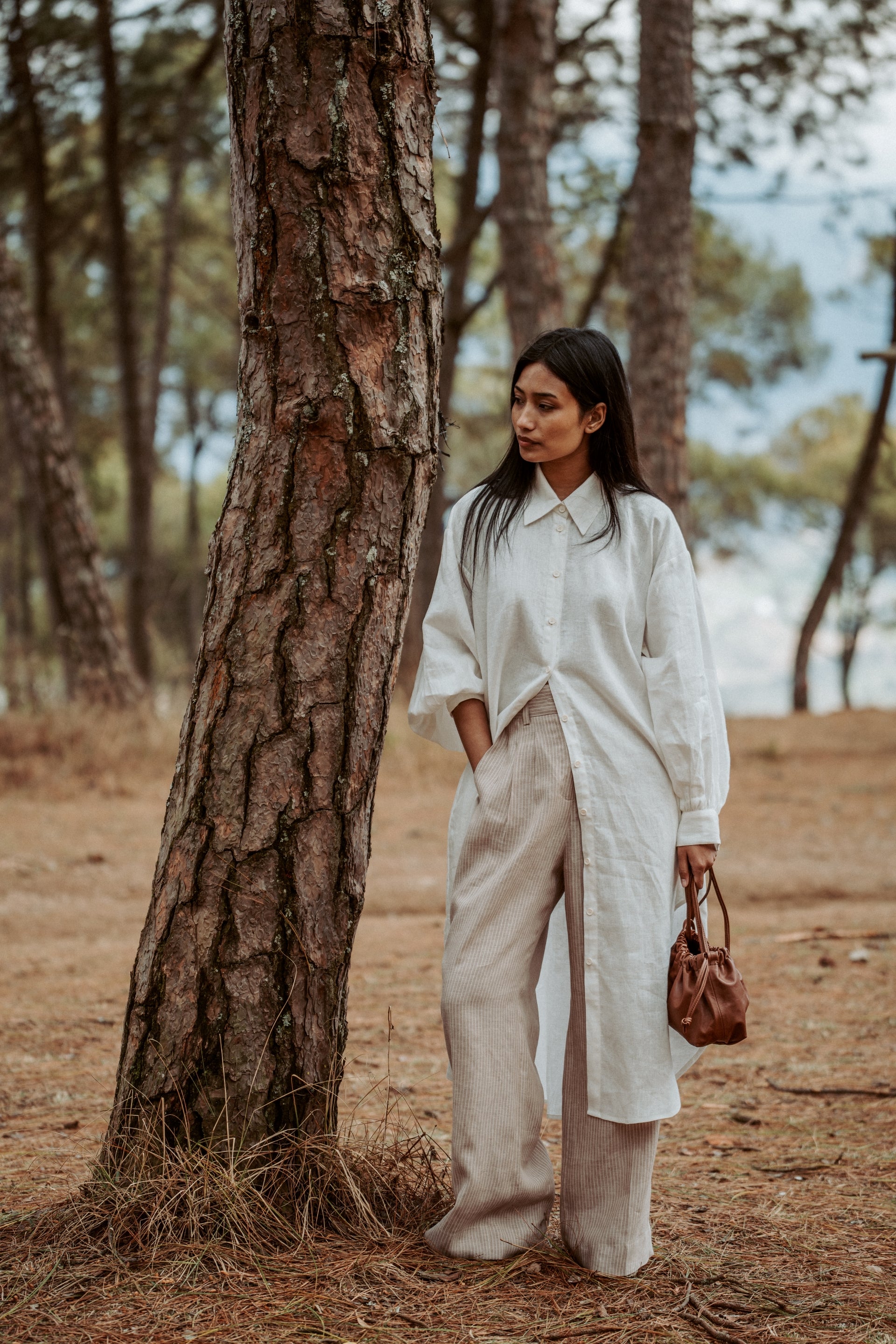 Aakash Dress Linen