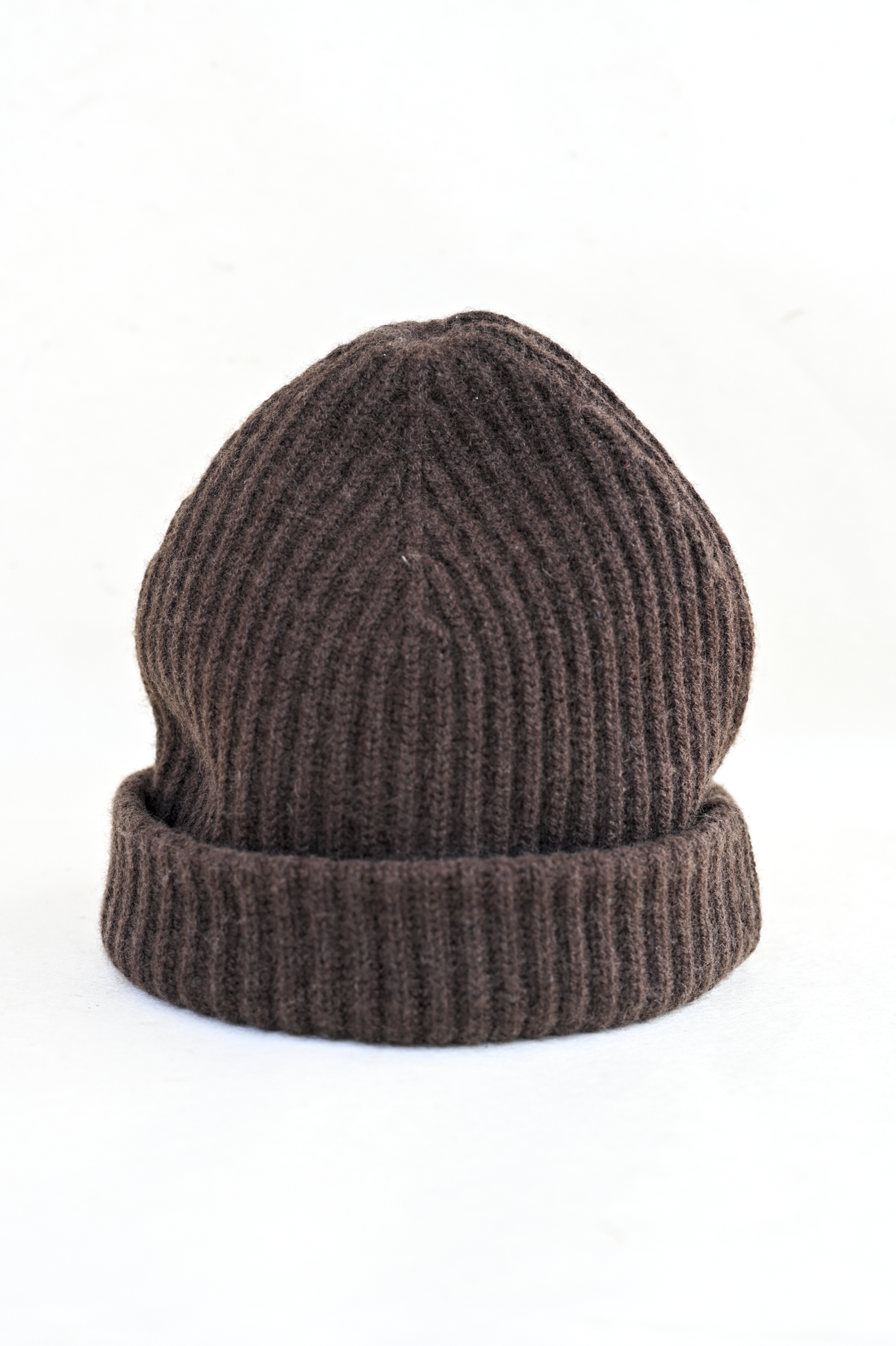 Beanie Bark