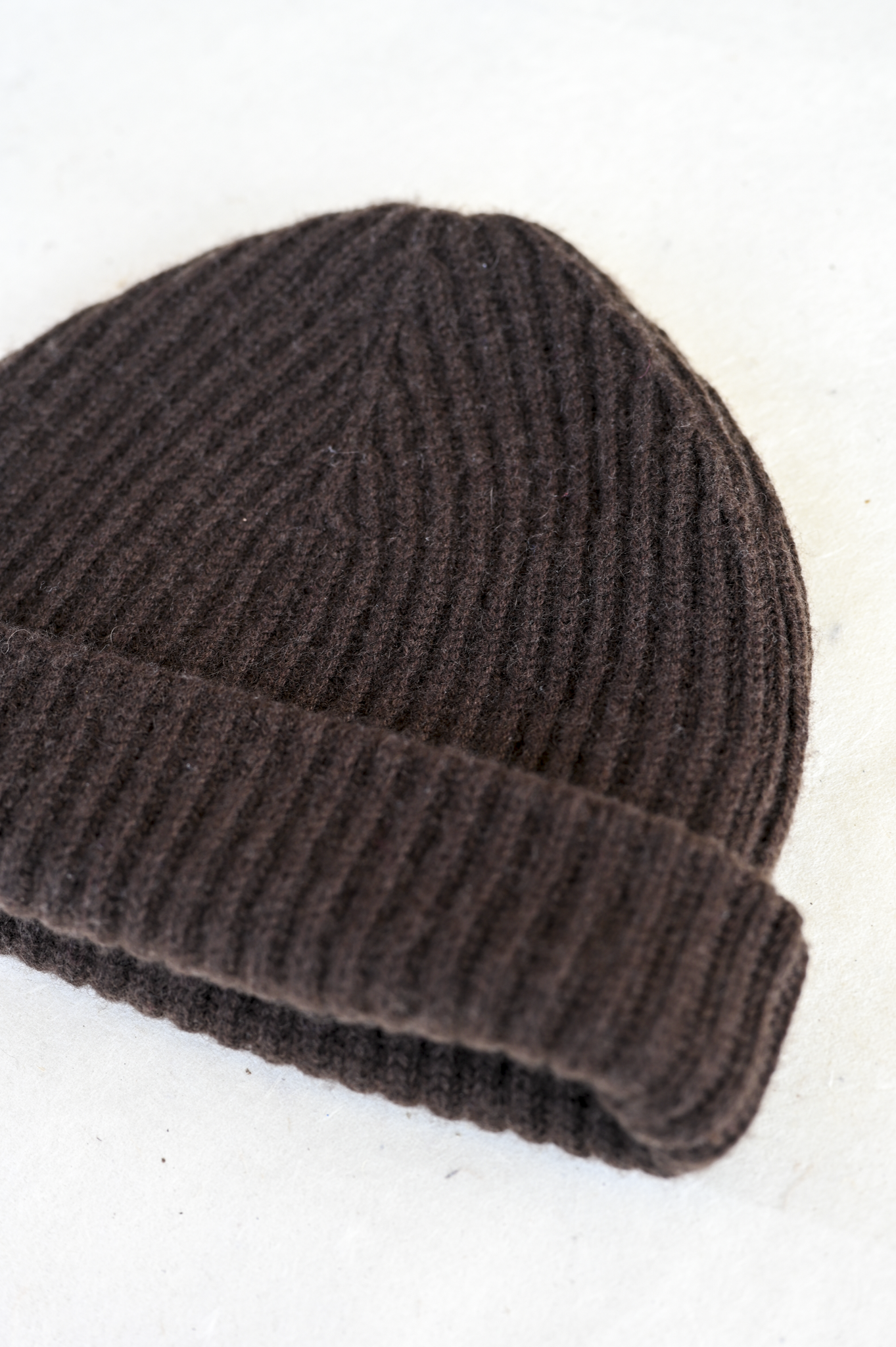 Beanie Bark