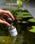 Petrichor — Eau de Parfum
