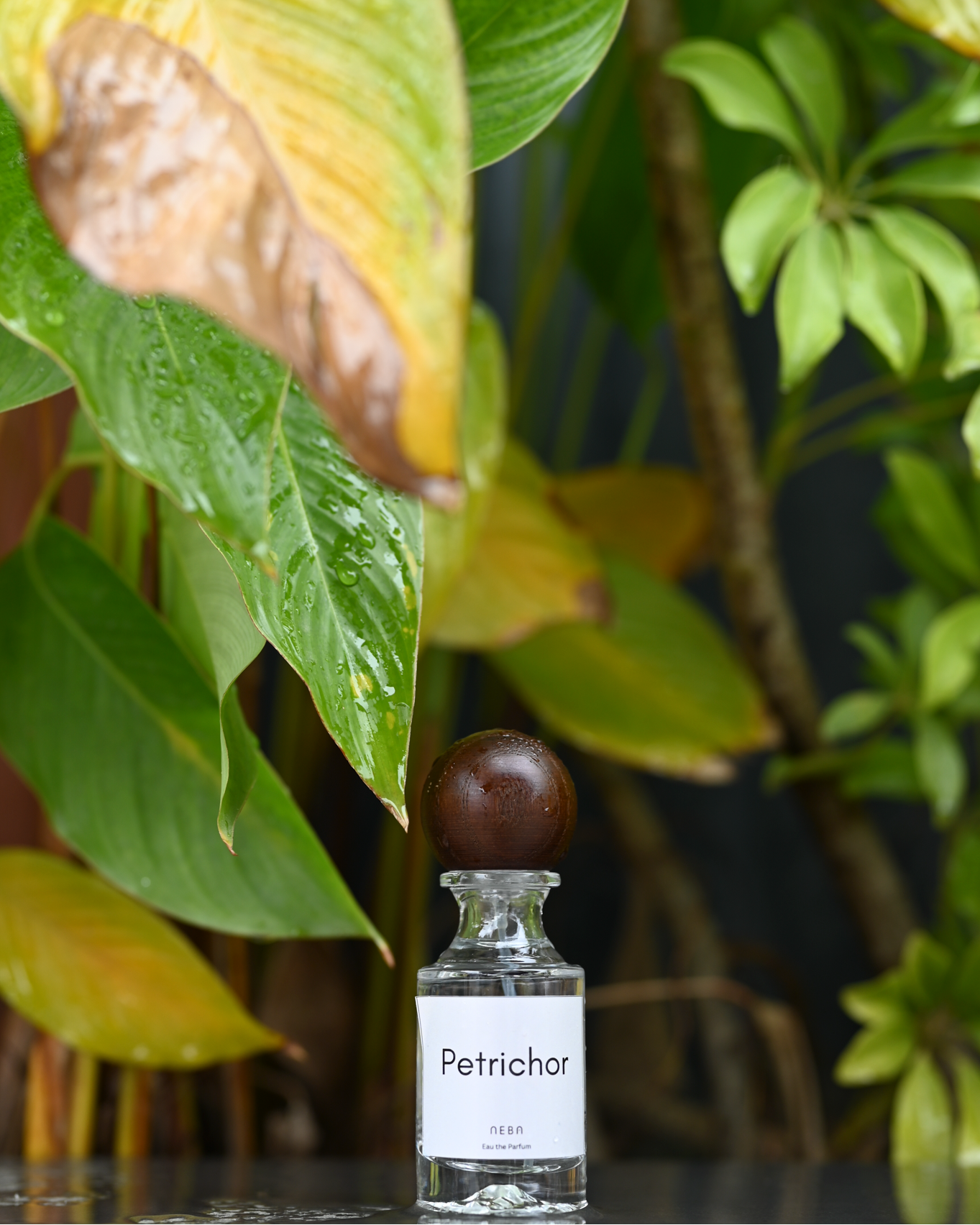 Petrichor — Eau de Parfum